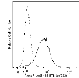 Btk_A488_A20_overlay.png